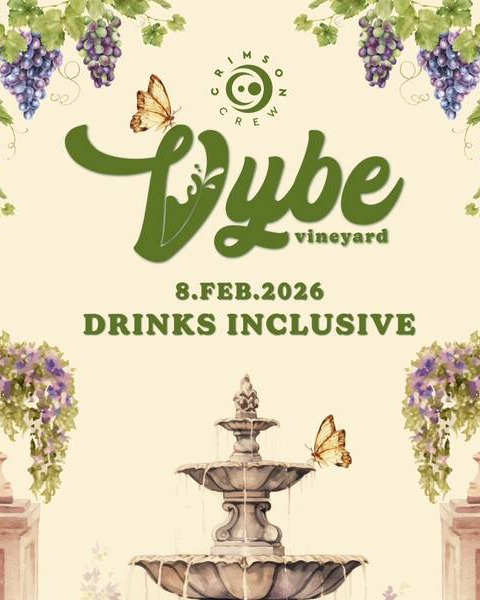 VYBE - The Vineyard